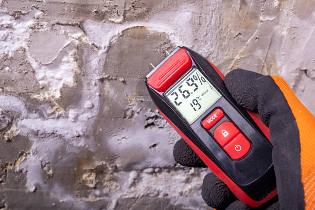 Reliable Buckhannon, WV Mold Removal Solutions
